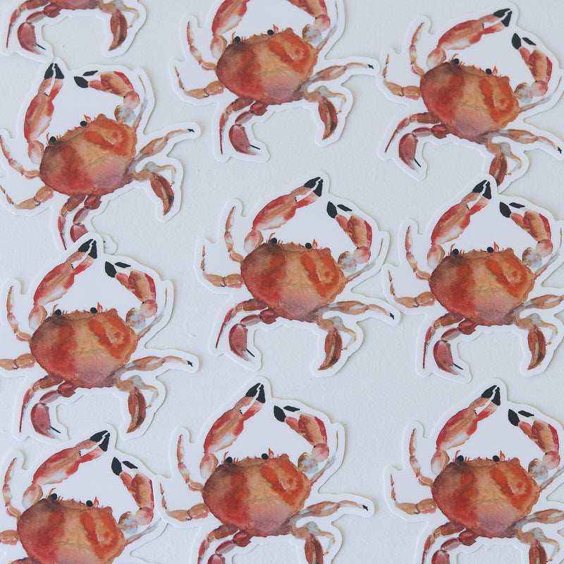 Crab Sticker | Finding Silver Pennies #crab #watercolor #crabsticker #watercolorcrab