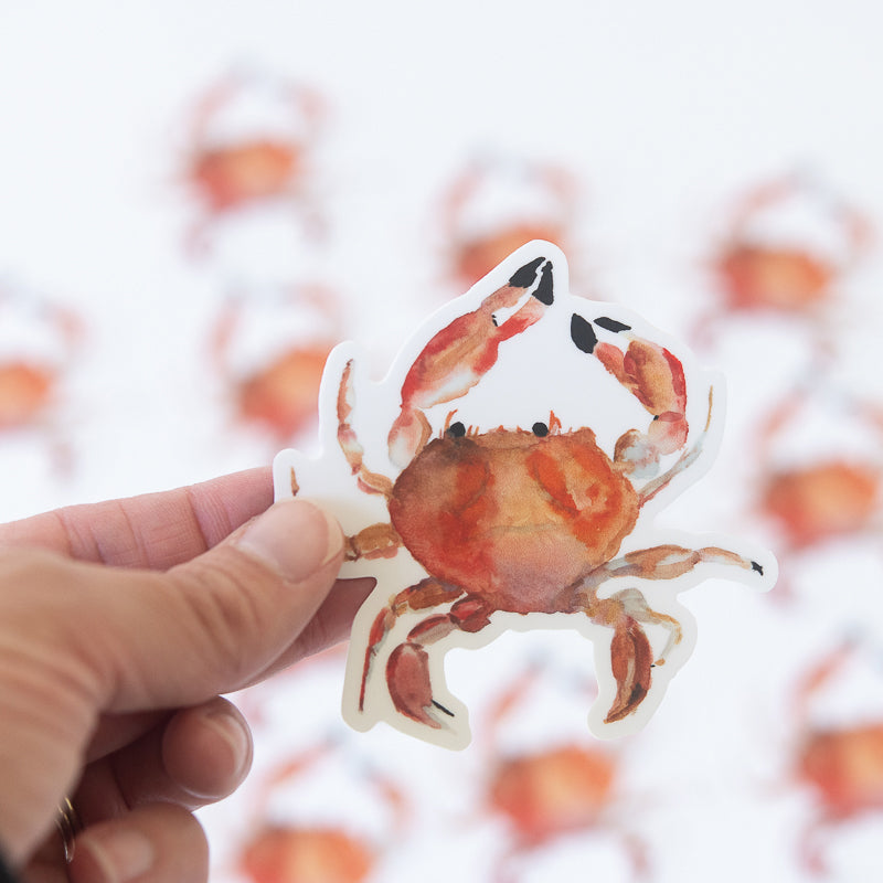 Crab Sticker | Finding Silver Pennies #crab #watercolor #crabsticker #watercolorcrab