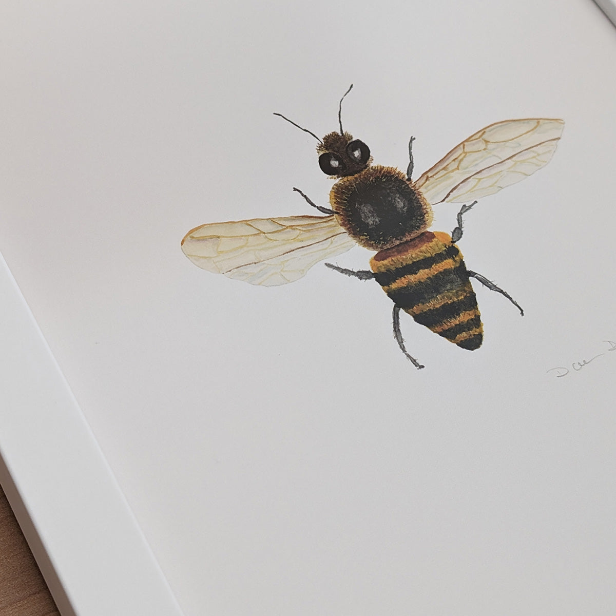 Honey Bee Giclée Print in white frame | Finding Silver Pennies