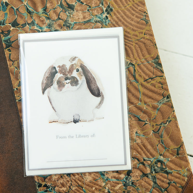 Bunny Bookplate by Danielle Driscoll | Finding Silver Pennies