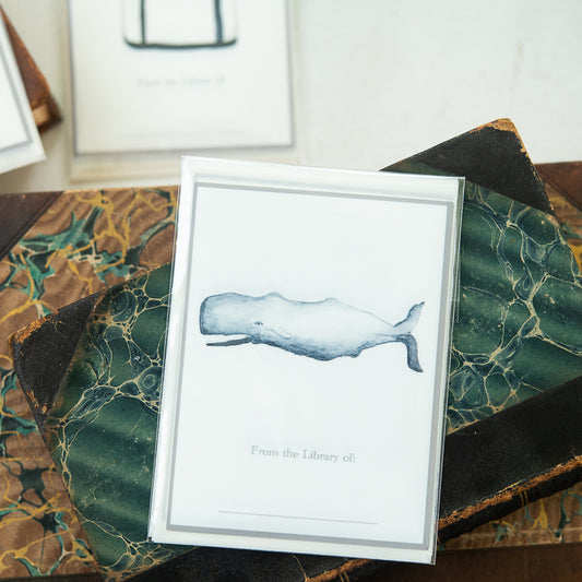 Whale bookplates by Danielle Driscoll | Finding Silver Pennies