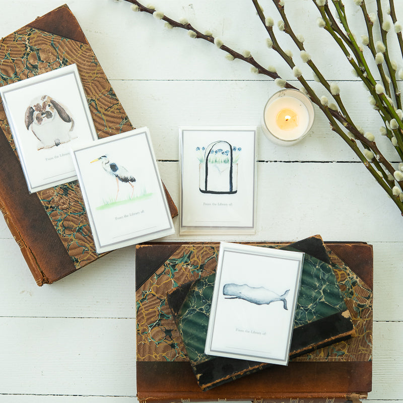 Watercolor Bookplates by Danielle Driscoll