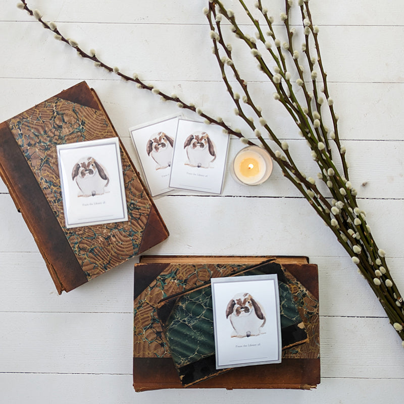Bunny Bookplates by Danielle Driscoll | Finding Silver Pennies