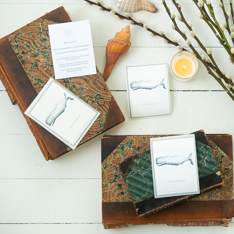 Whale bookplates by Danielle Driscoll | Finding Silver Pennies