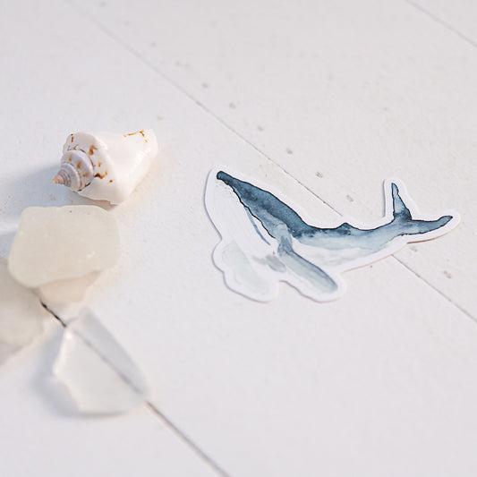 Humpback Whale Sticker on white background with shell and sea glass