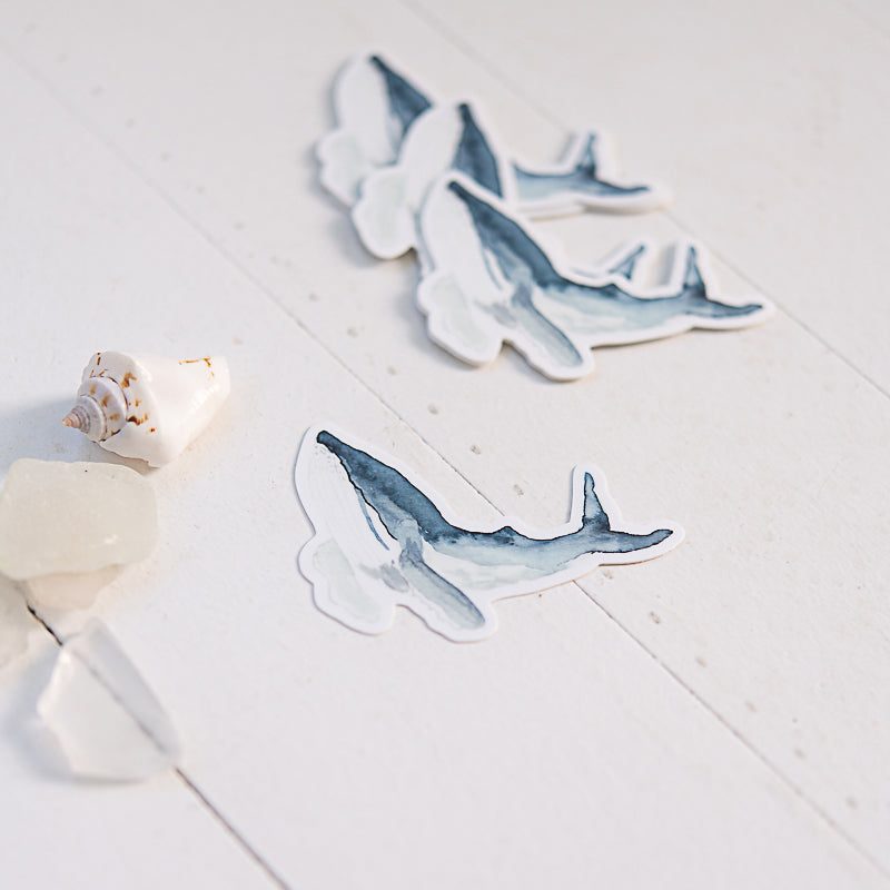 Watercolor humpback whale stickers on white background with shell and sea glass