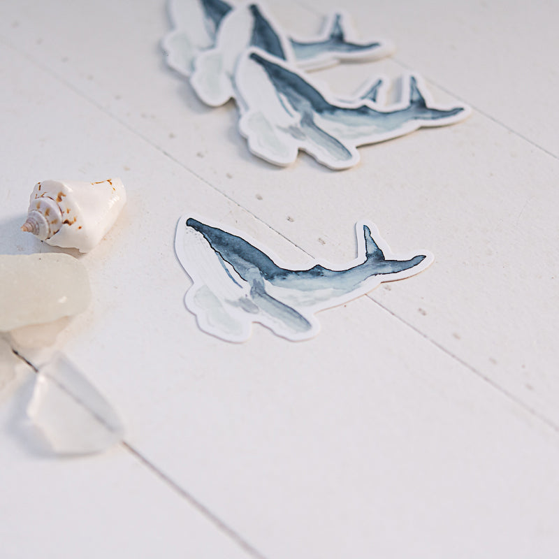 Humpback whale stickers on white background