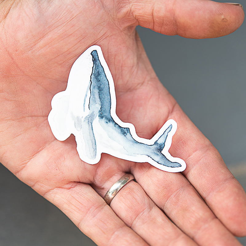 Humpback Whale Sticker held in palm