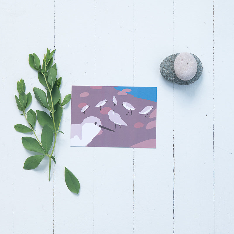 Sandpiper Print (5x7)