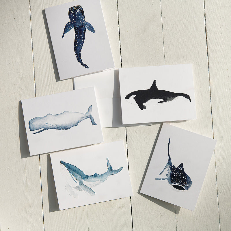Watercolor Whale Sharks and Whale Note Cards