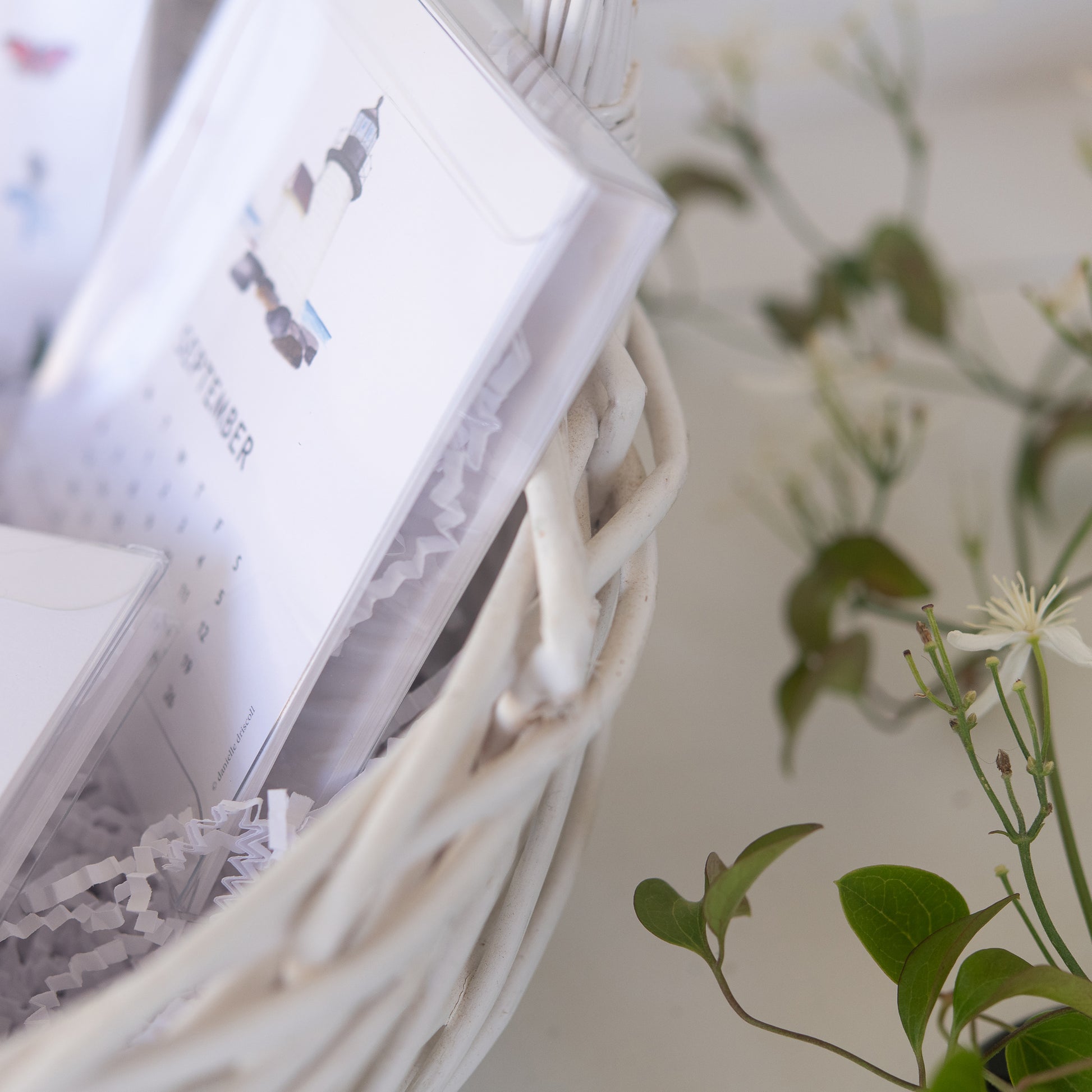 Close-up of a white woven basket with calendar refill packs and a plant in the background