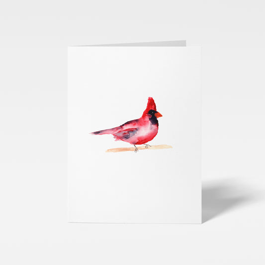 Cardinal Mini Note Card by Danielle Driscoll | Finding Silver Pennies