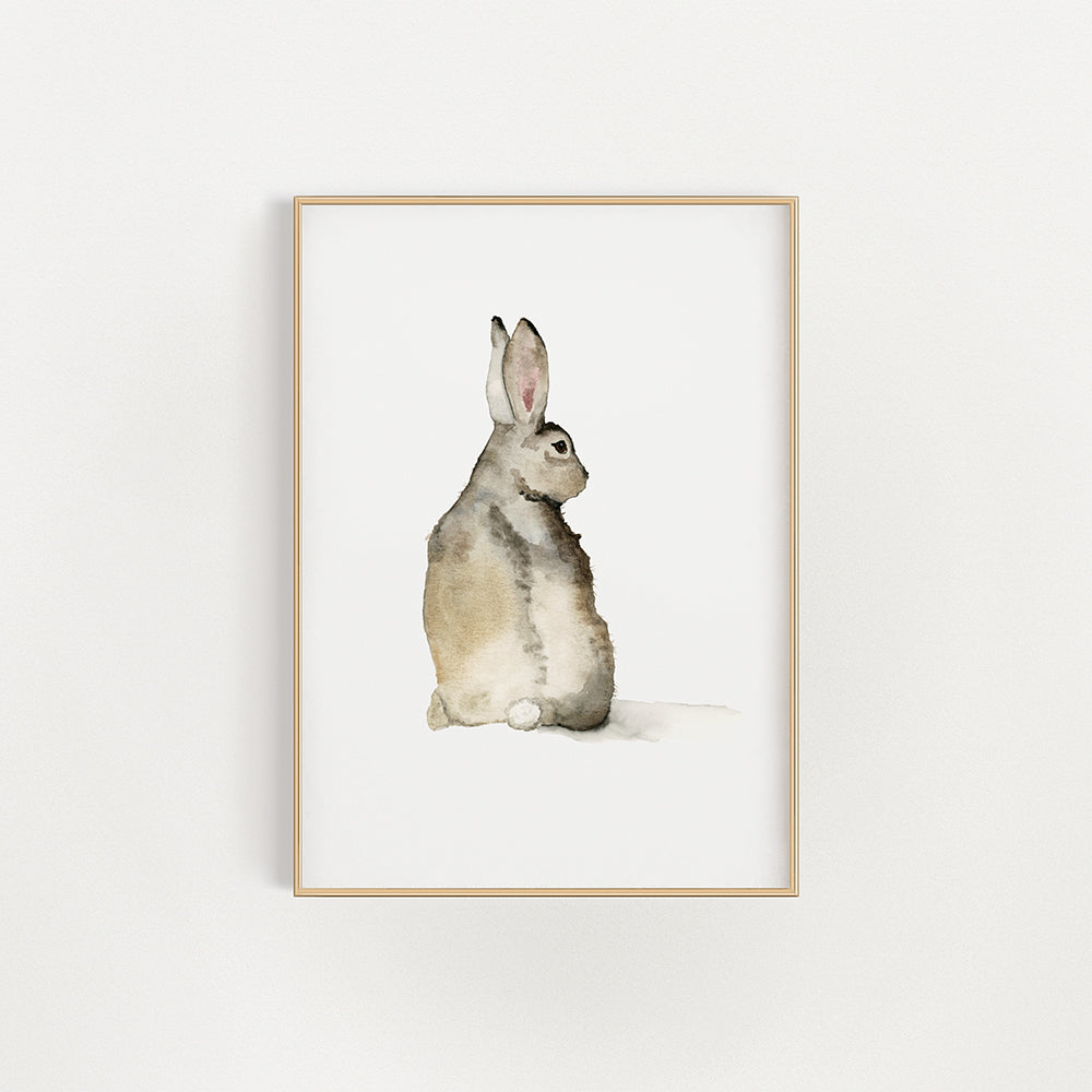 Cottontail Bunny Art Print by Danielle Driscoll | Finding Silver Pennies