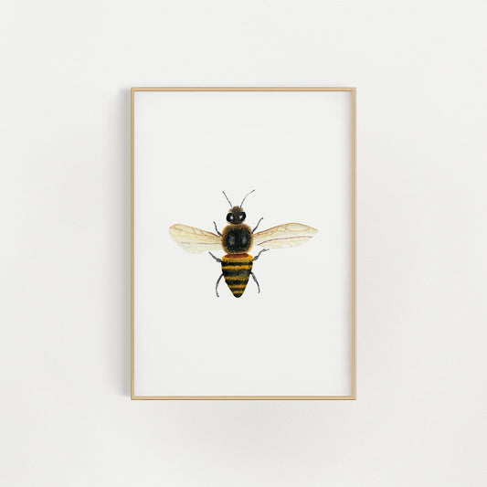 Honey Bee Giclée Print | Finding Silver Pennies