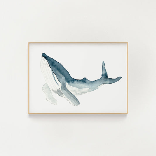 Humpback Whale Giclée Print | Finding Silver Pennies