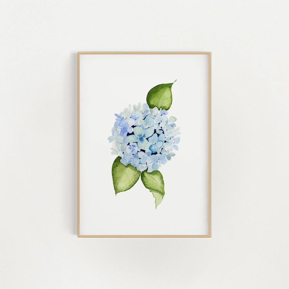Hydrangea Print – Finding Silver Pennies