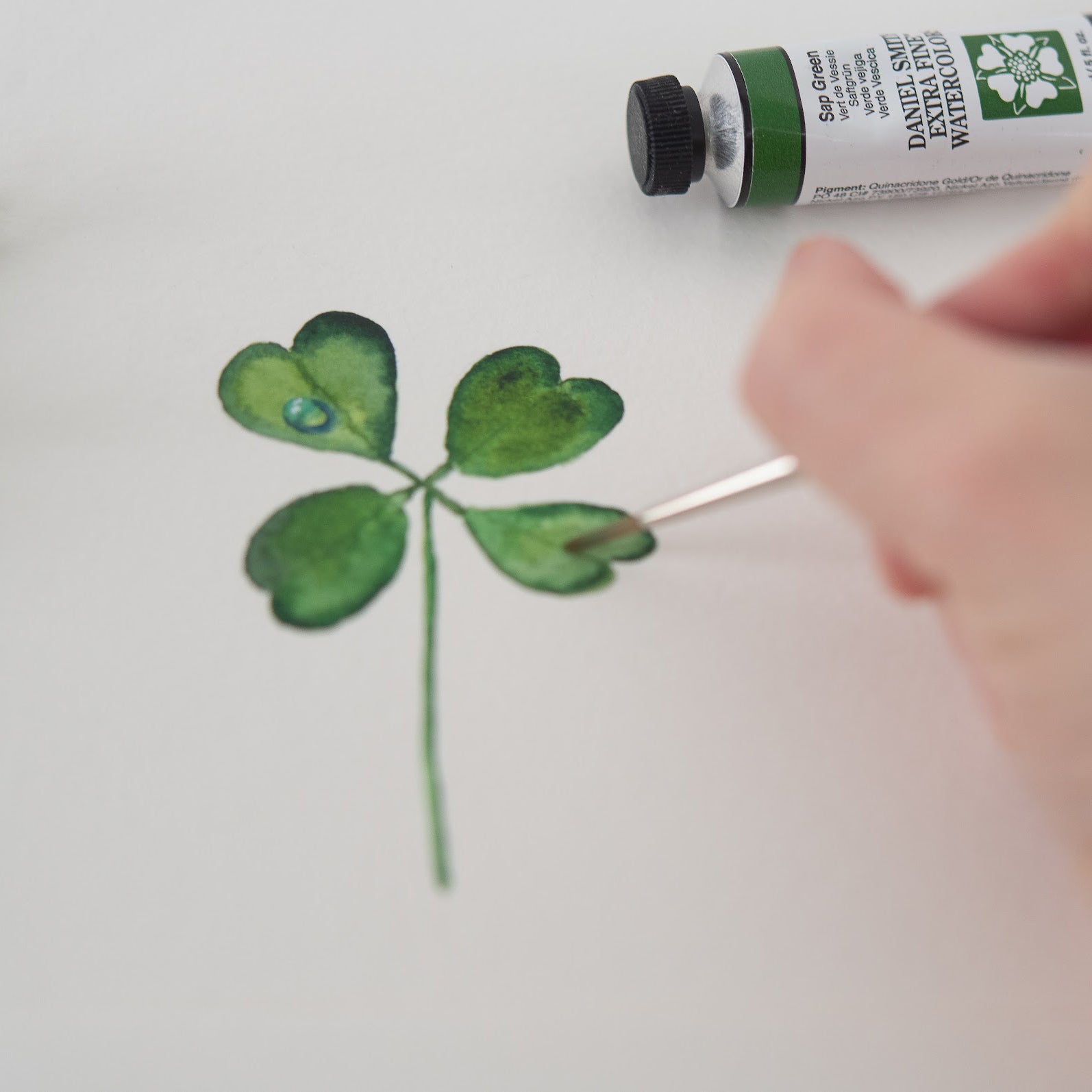Painting four leaf clover in watercolor