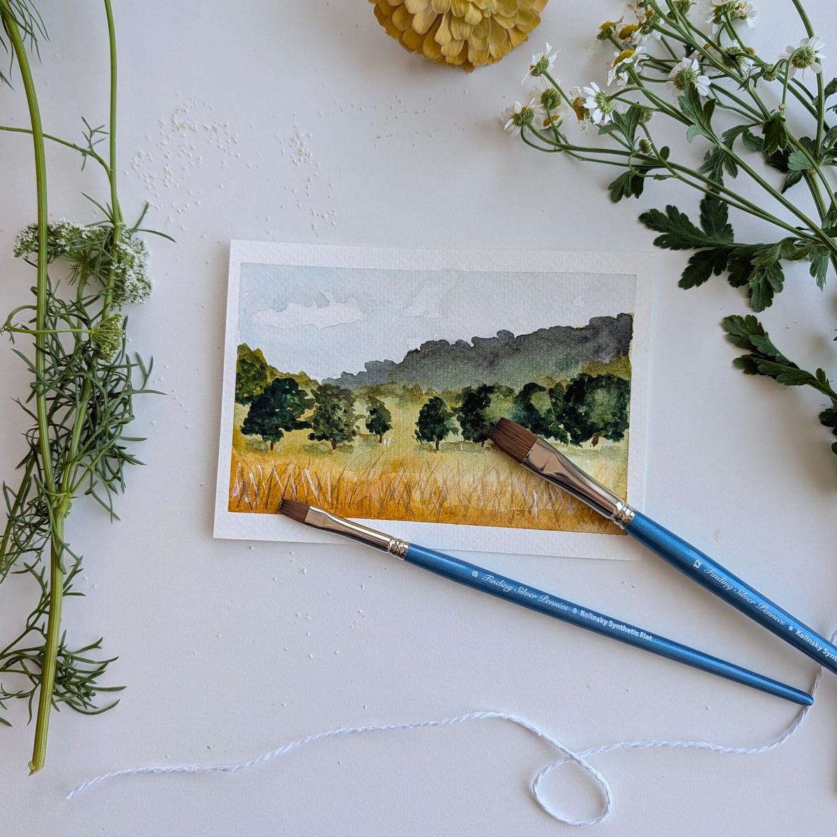 Fall Landscape by Danielle Driscoll