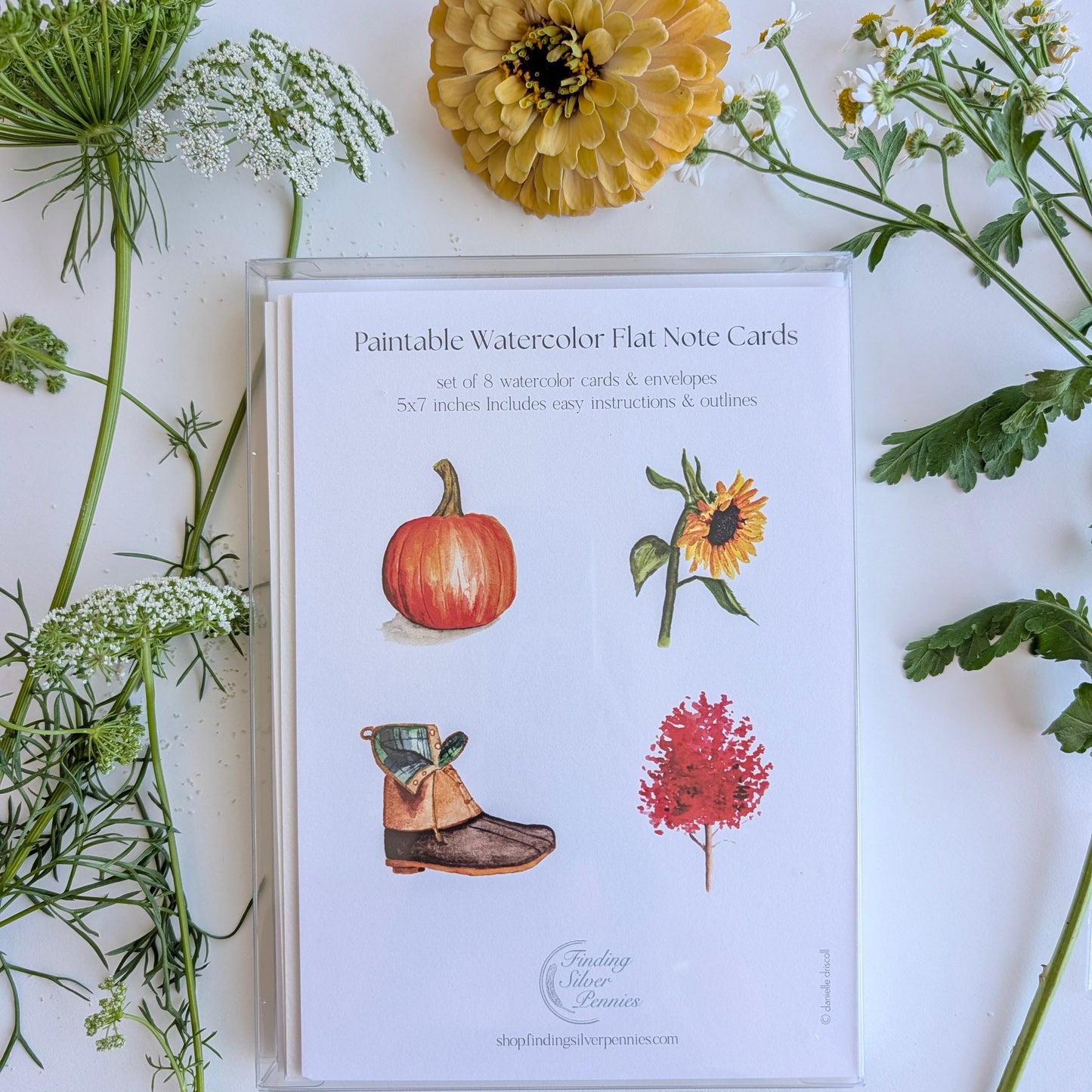 A flat-lay of a clear plastic sleeve containing 'Paintable Watercolor Flat Note Cards' with illustrations of a pumpkin, sunflower, boot, and red flower on a white card. The card is surrounded by green herbs and a yellow flower on a white background.