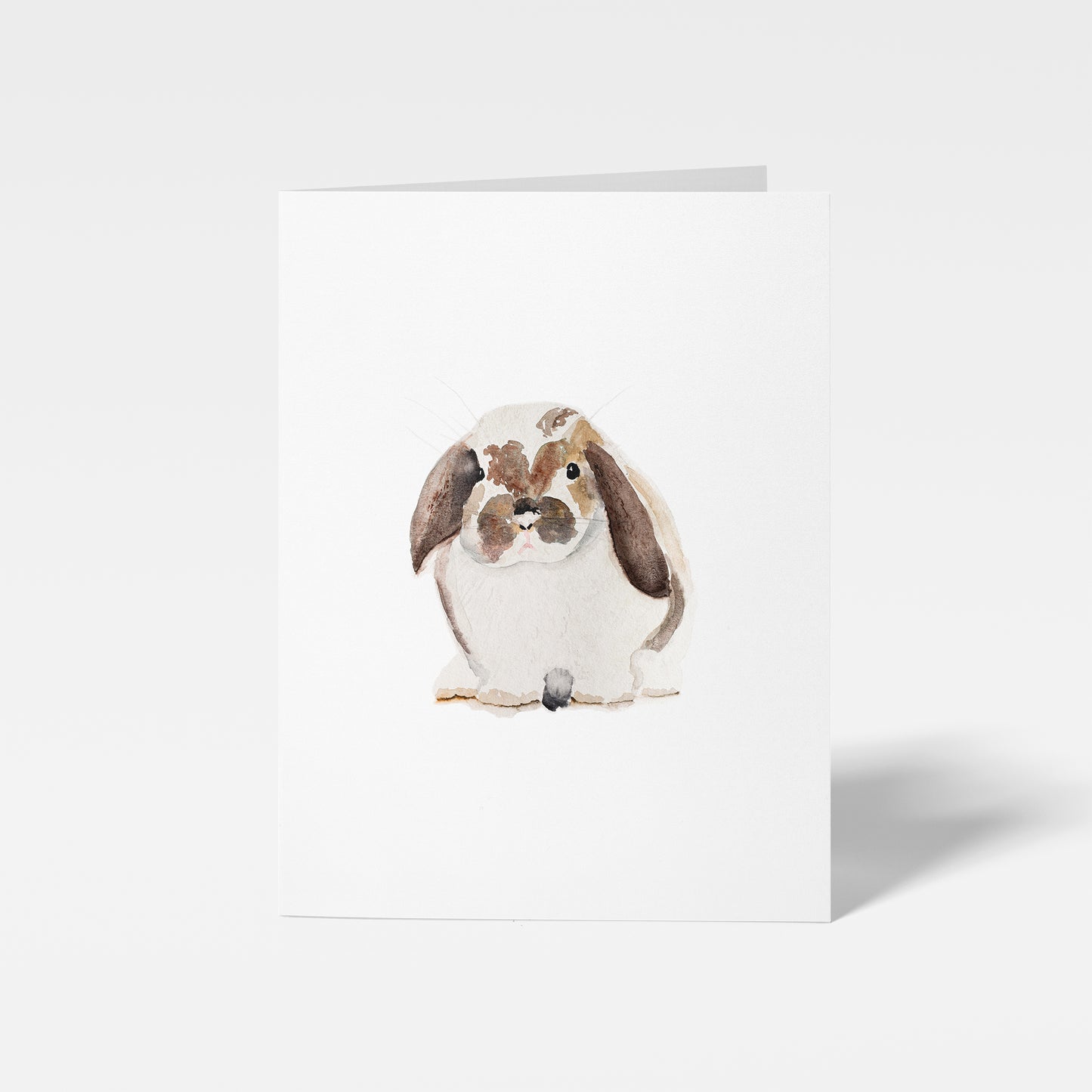 illustration of flop eared bunny on enclosure card