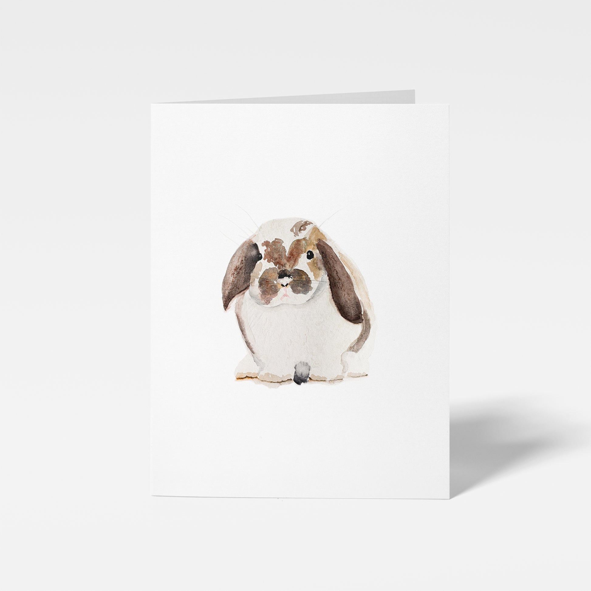 illustration of flop eared bunny on enclosure card