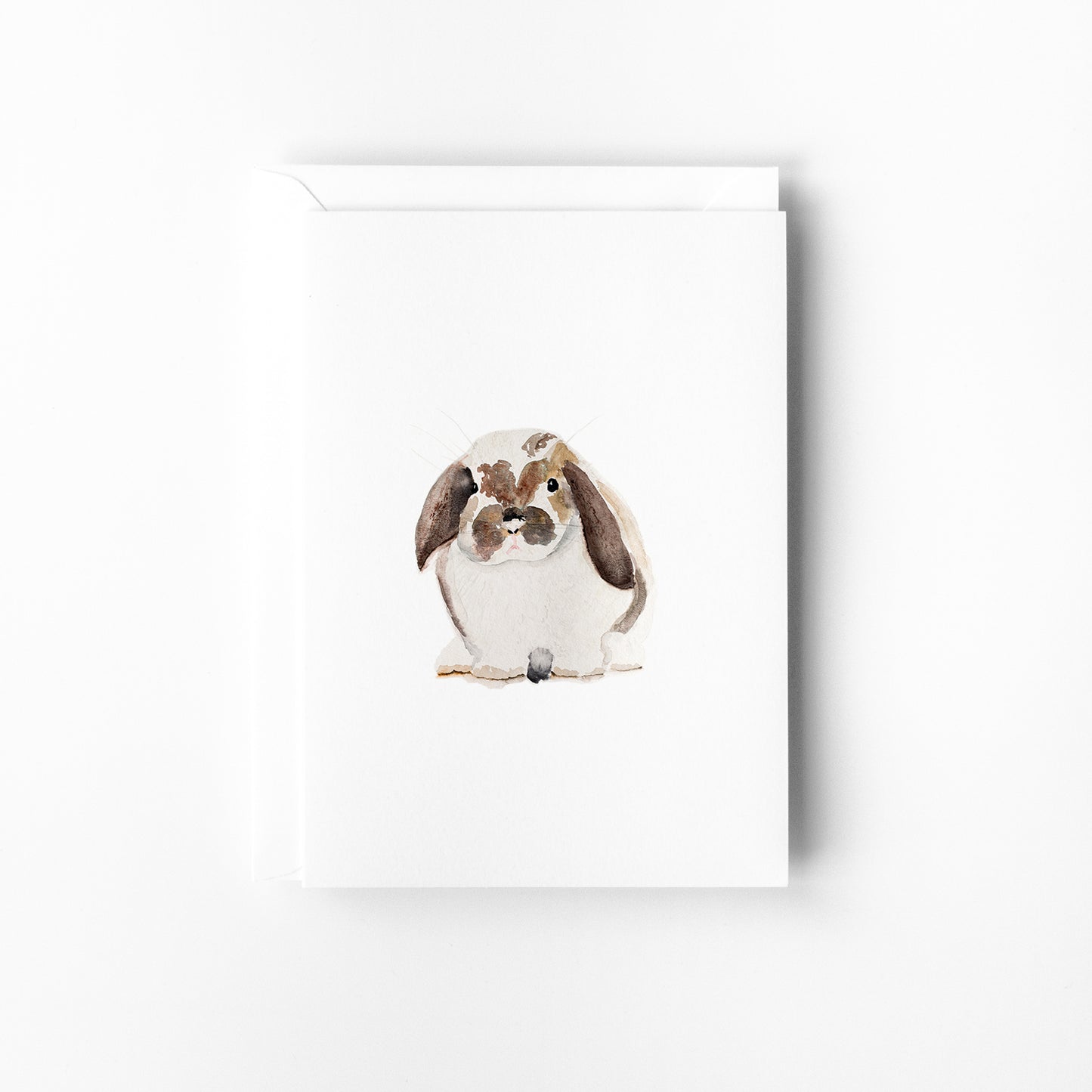 Illustration of a flop eared bunny on mini card
