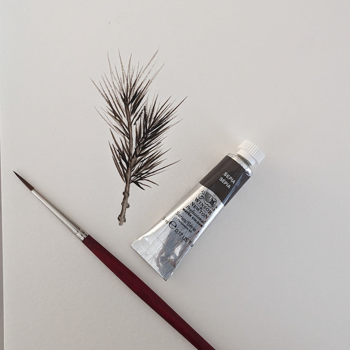 A tube of watercolor paint and a fine detail paintbrush arranged diagonally on a light gray background, with a small pine branch placed between them as a decorative prop.