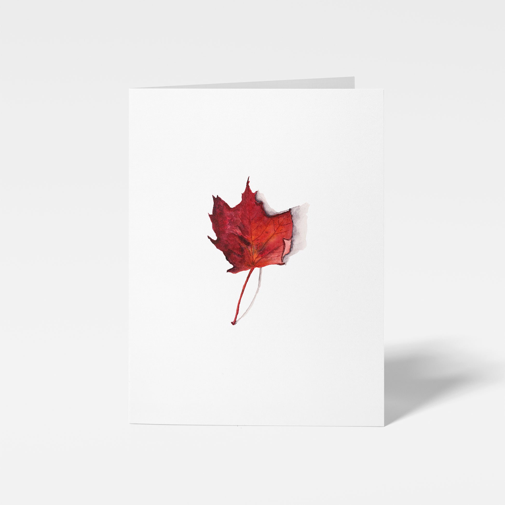 Maple Leaf Mini Note Card by Danielle Driscoll | Finding Silver Pennies