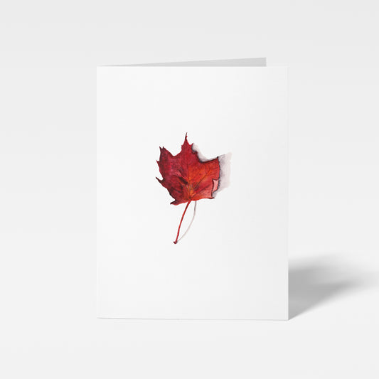 Maple Leaf Mini Note Card by Danielle Driscoll | Finding Silver Pennies