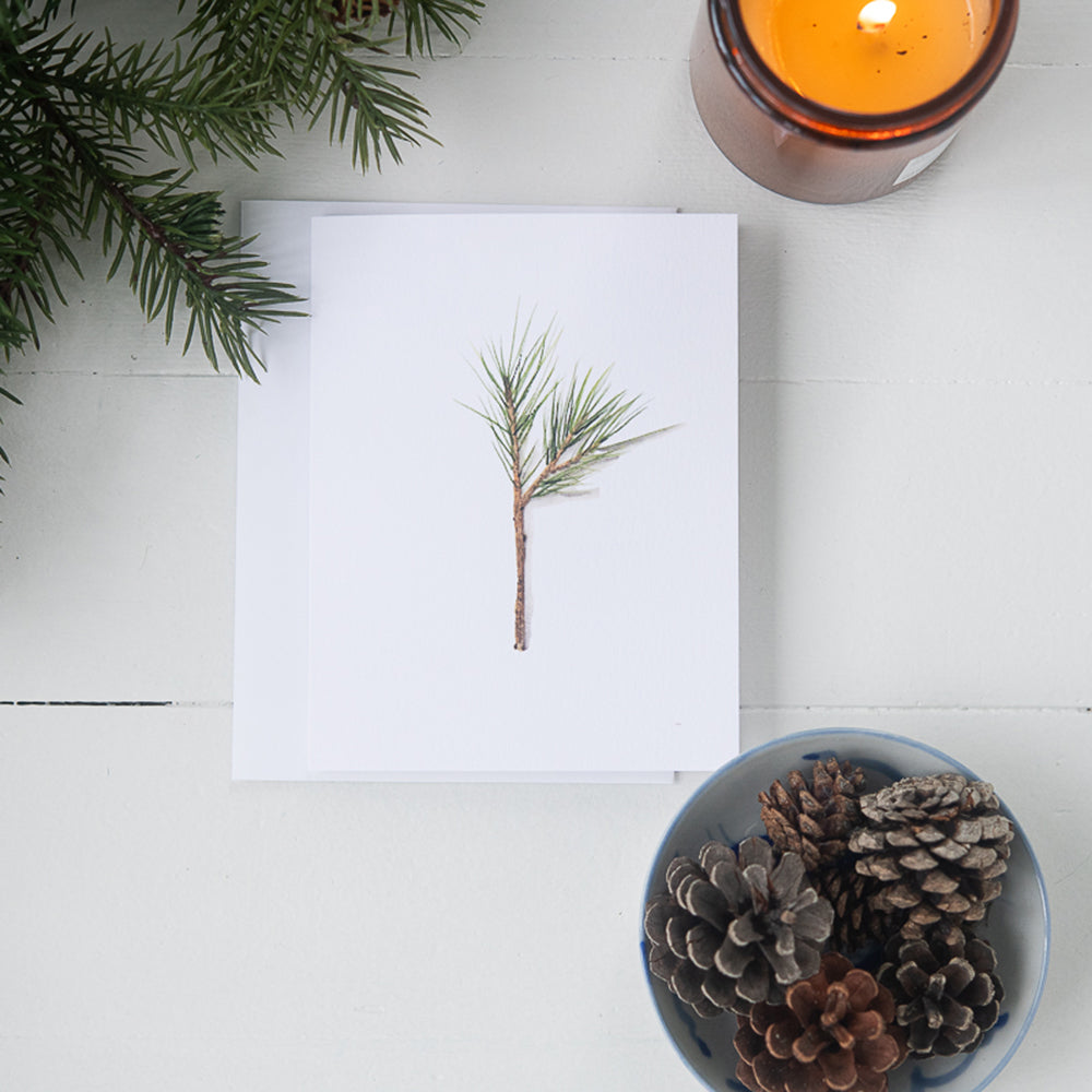 Watercolor Pine Branch Note Card by Danielle Driscoll | Finding Silver Pennies