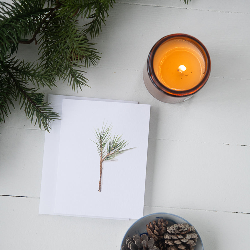 Watercolor Pine Branch Note Card by Danielle Driscoll | Finding Silver Pennies