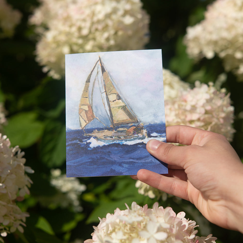 Sailboat Note Card by John Driscoll | Ink Harbour Illustrations