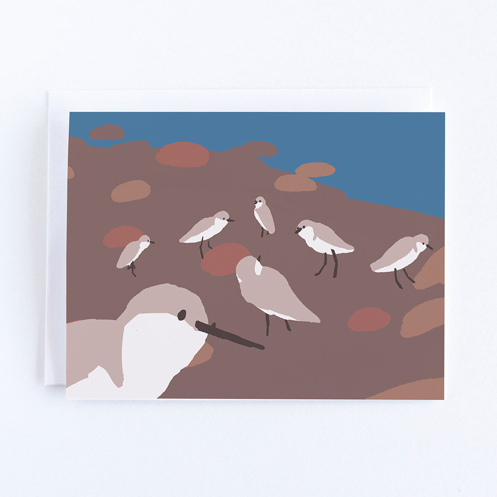 Sandpiper Note Card by John Driscoll | Ink Harbour Illustrations