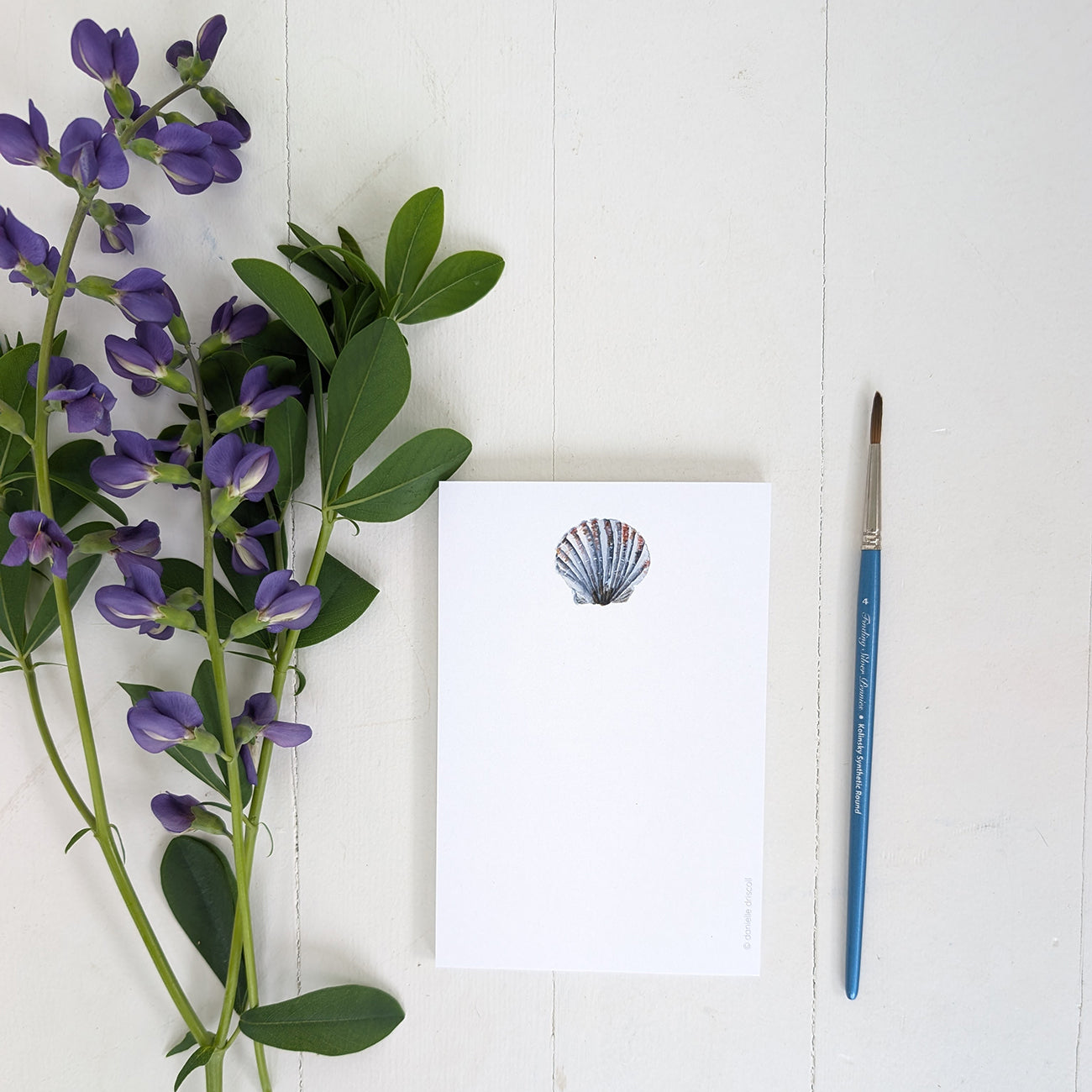 Scallop Shell Mini Notepad by Danielle Driscoll | Finding Silver Pennies