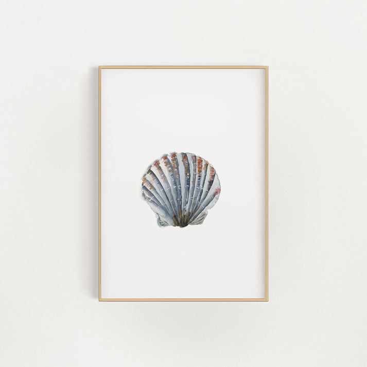 Scallop Shell Print – Finding Silver Pennies