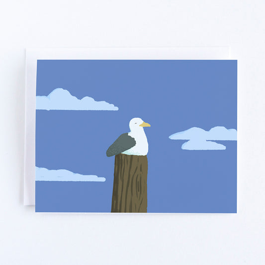 Seagull Note Card by John Driscoll | Ink Harbour Illustrations