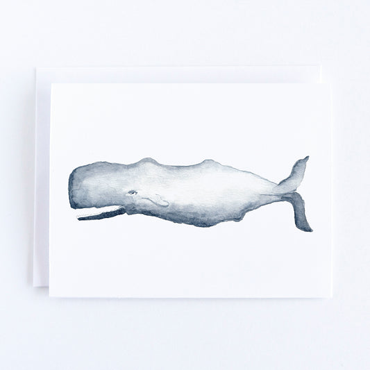 Sperm Whale Note Card by Danielle Driscoll | Finding Silver Pennies