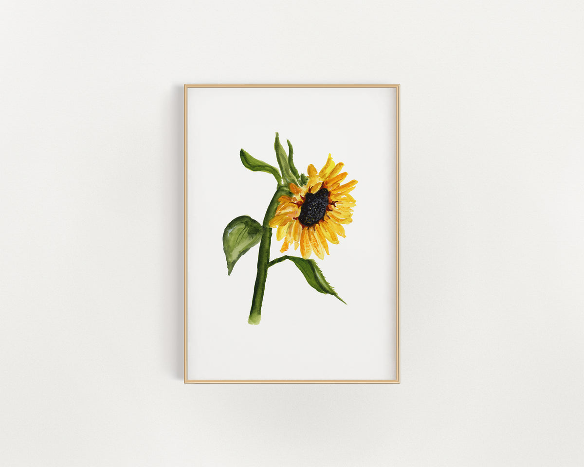 Sunflower Print by Danielle Driscoll