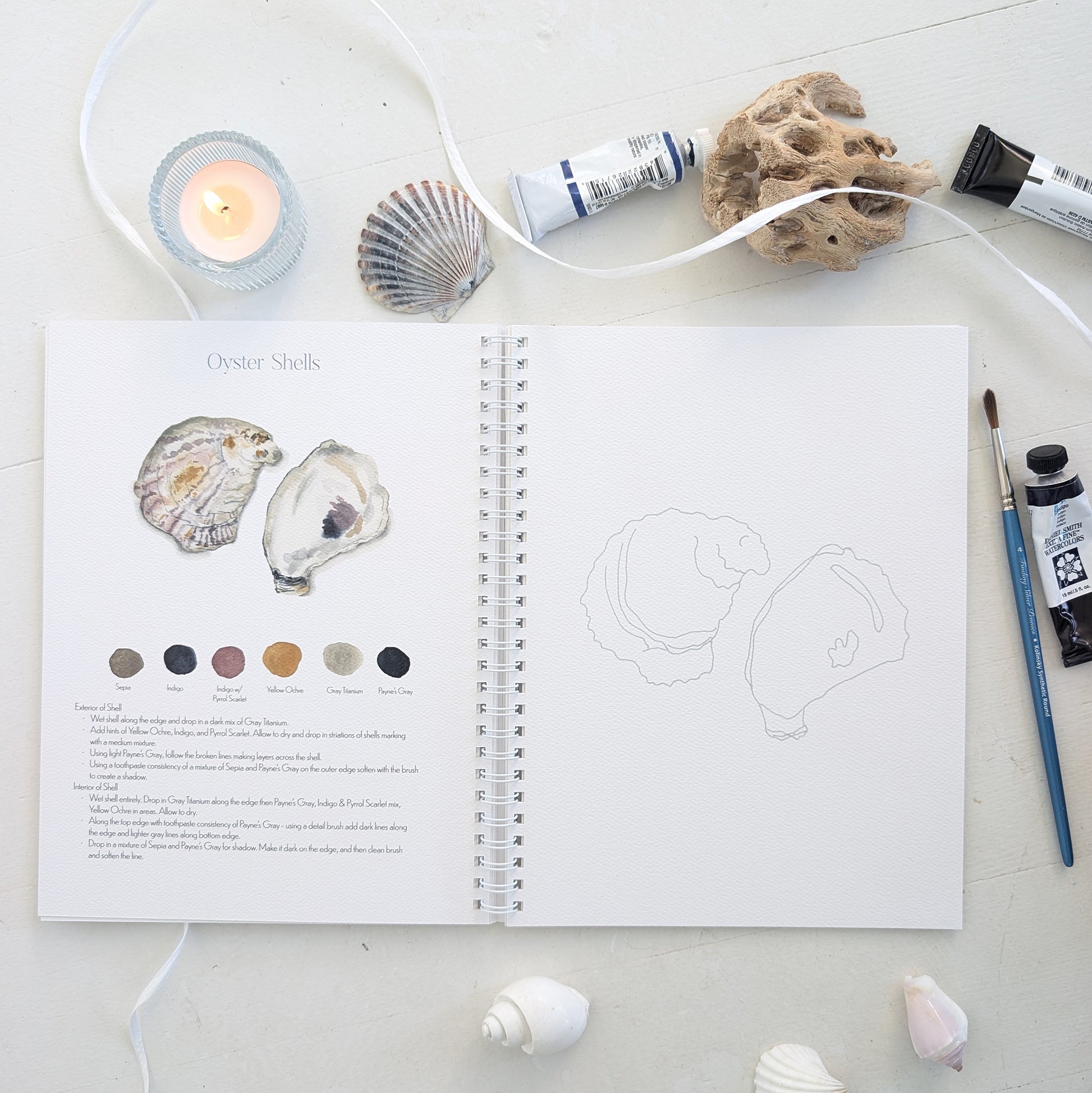 Open watercolor workbook with illustrations of oyster shells on a white surface with art supplies.