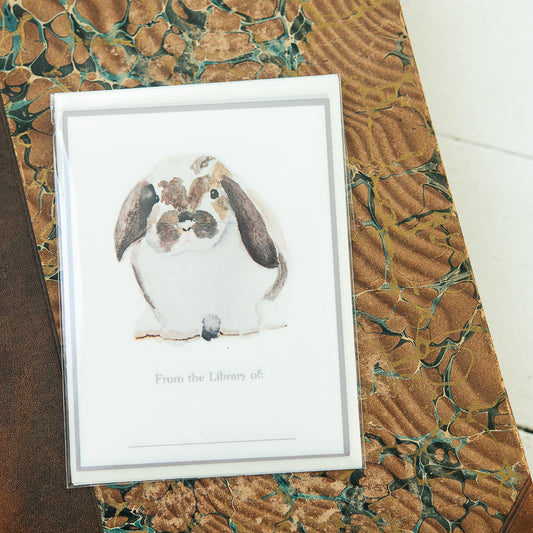 Bunny Bookplate by Danielle Driscoll | Finding Silver Pennies