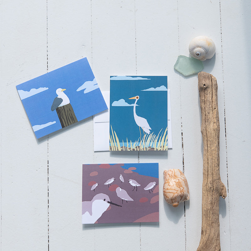 Sea Bird Note Card Selection