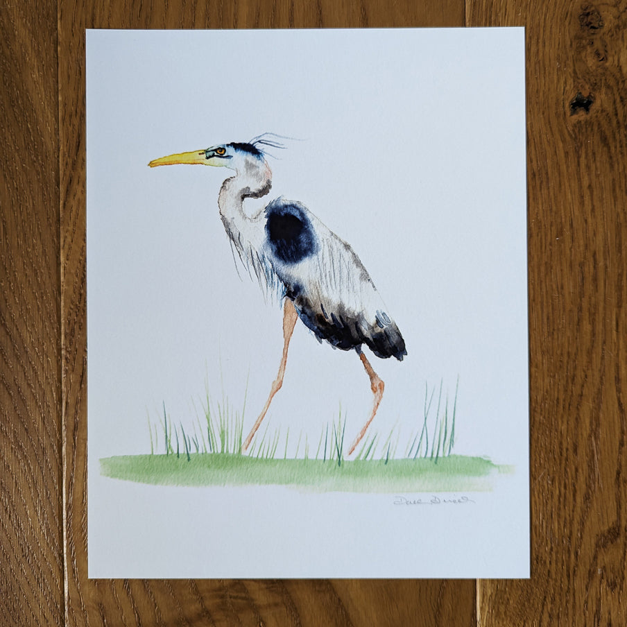 Great Blue Heron Giclee Print Unframed