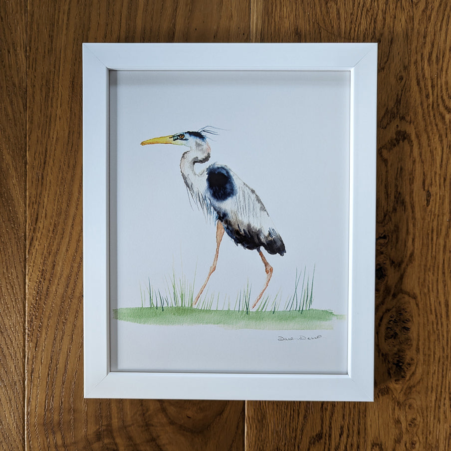 Great Blue Heron Giclee Print Framed in white frame