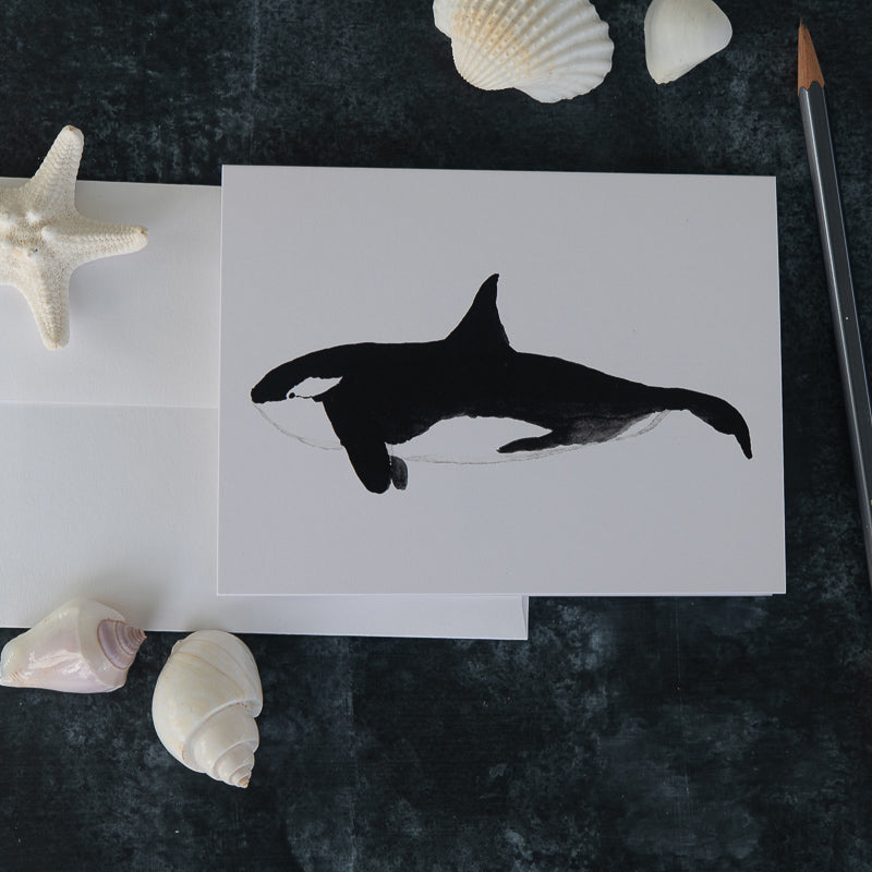 watercolor orca whale note card