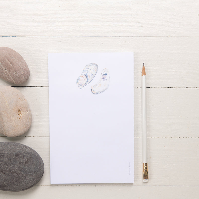 oyster shell illustrated notepad