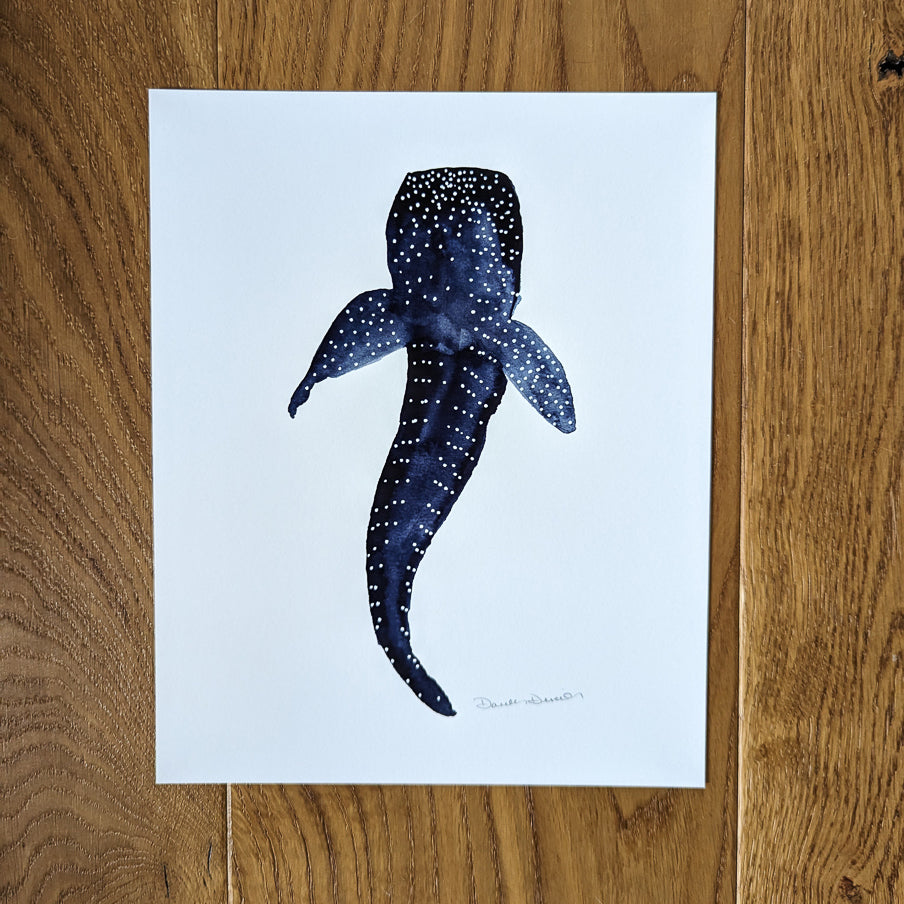 Whale Shark Above Unframed Giclee Print