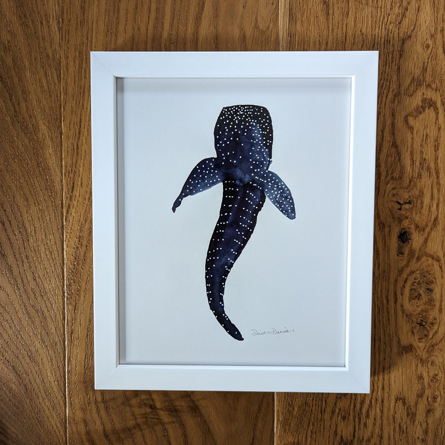 Whale Shark Giclee Print in White Frame