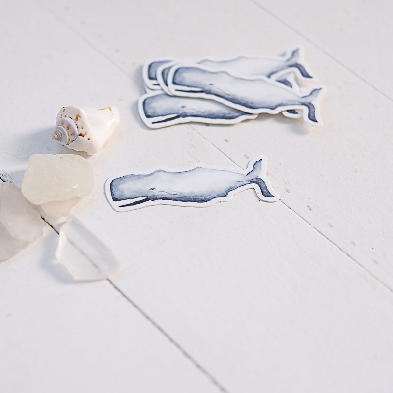 Whale Watercolor Stickers on white background shown with a shell and seaglass