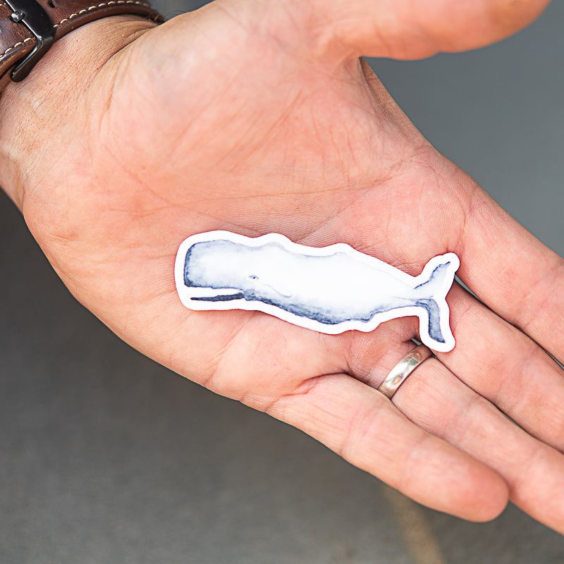 Man holding a watercolor whale sticker in his palm.